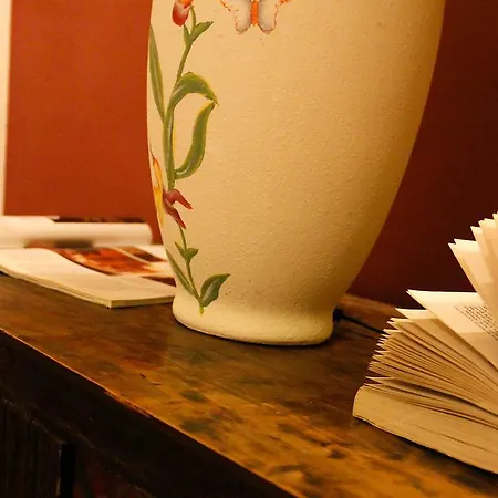 Guesthouse Stazione Pisa Centro-3